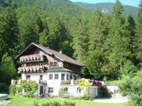 Apartment Stadler Obertraun